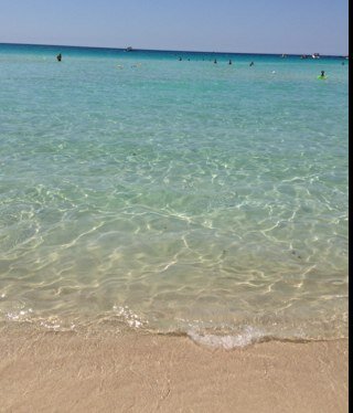 arciros's profile picture. Sul serio, ma anche per cazzeggio.  Un ❤️  nn si rifiuta a nessuna 🤭