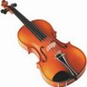 BGHS_Orchestra's profile picture. The official feed for the Bowling Green City Schools Orchestra program  in  Bowling Green, Ohio