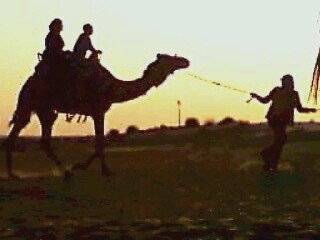 consult_live's profile picture. Retired Consultant