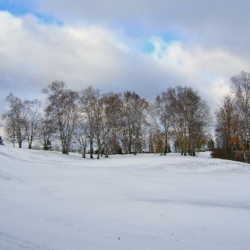 MinnyProblems's profile picture. Californian transplant living in Minneapolis, MN. Surviving through the winter shitstorm of '14 by thinking What Would a Minnesotan Do?