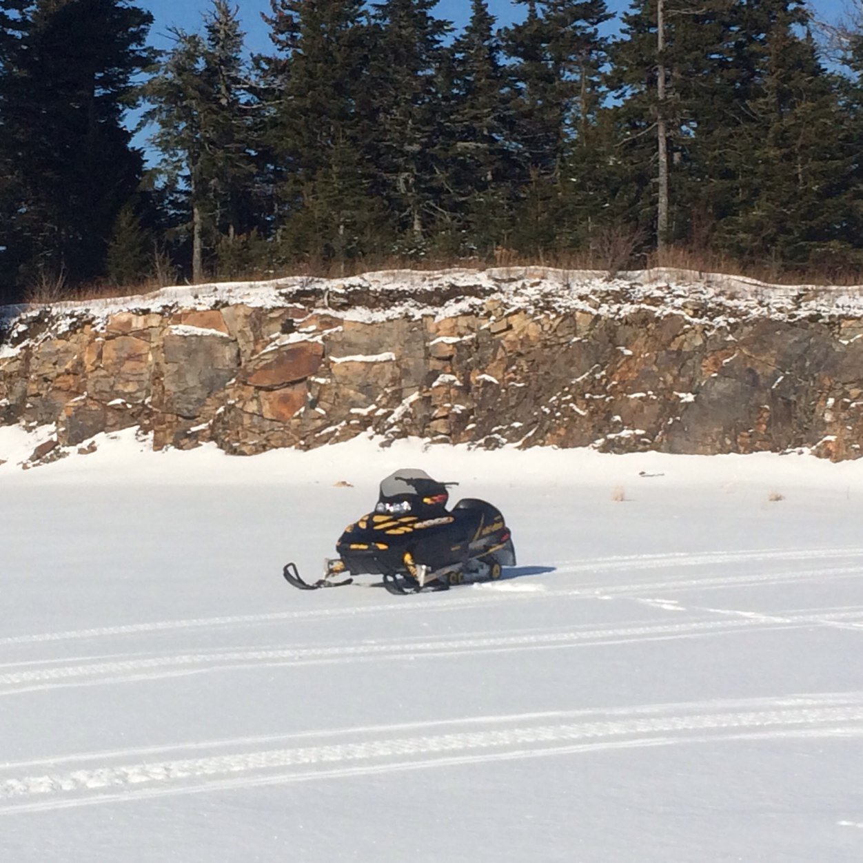 Deerslayerian's profile picture. Abraham lincoln might have freed all men but the Colt .45 made them all equal.