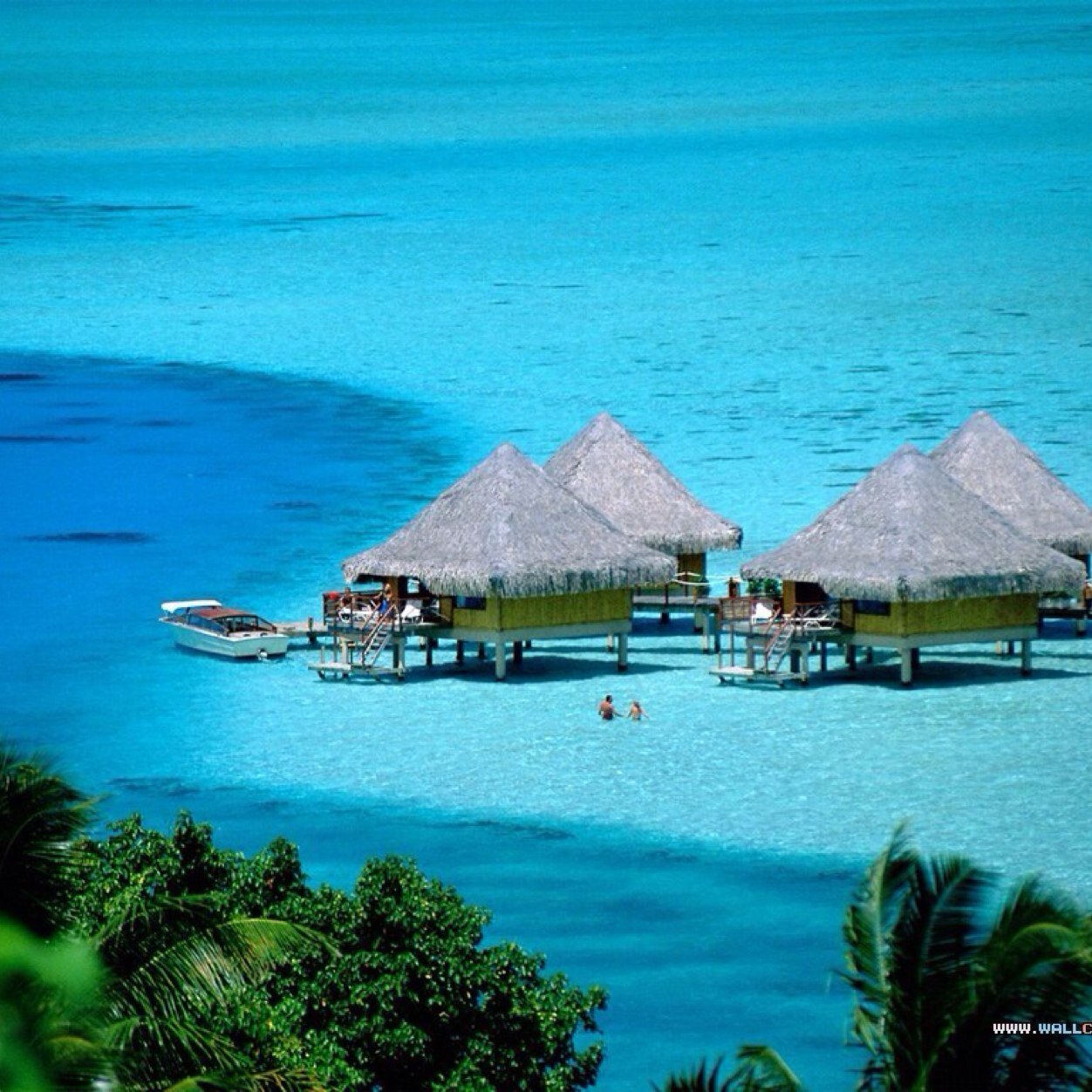 ramsazu's profile picture. 