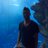 LorenzoLaverone's profile image