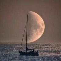 M. Abdullah Kasım (@kasm_abdullah) 's Twitter Profile
