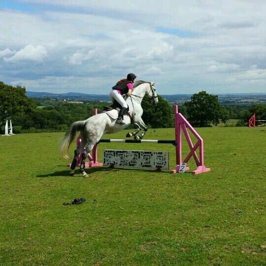 RhyddidRC's profile picture. Grass roots riding club for members of any age and ability. Friendly and family oriented