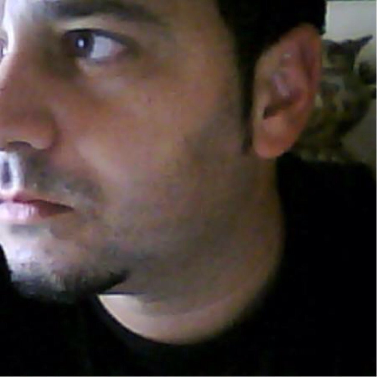 f_r_c_'s profile picture. 