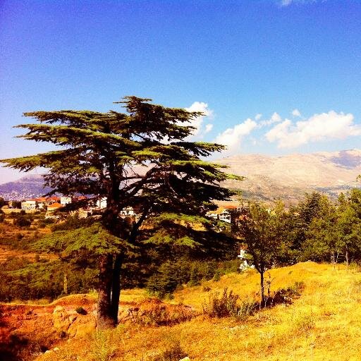 HadathelJebbeh's profile picture. Hadath El Jebbeh (حدث الجبة), is a town located in the Bsharri District in the North Governorate of Lebanon. It is situated in the Valley of Qadisha.