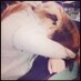Evelyn os (@evelyn17a) Twitter profile photo Evelyn os (@evelyn17a) Twitter profile photo