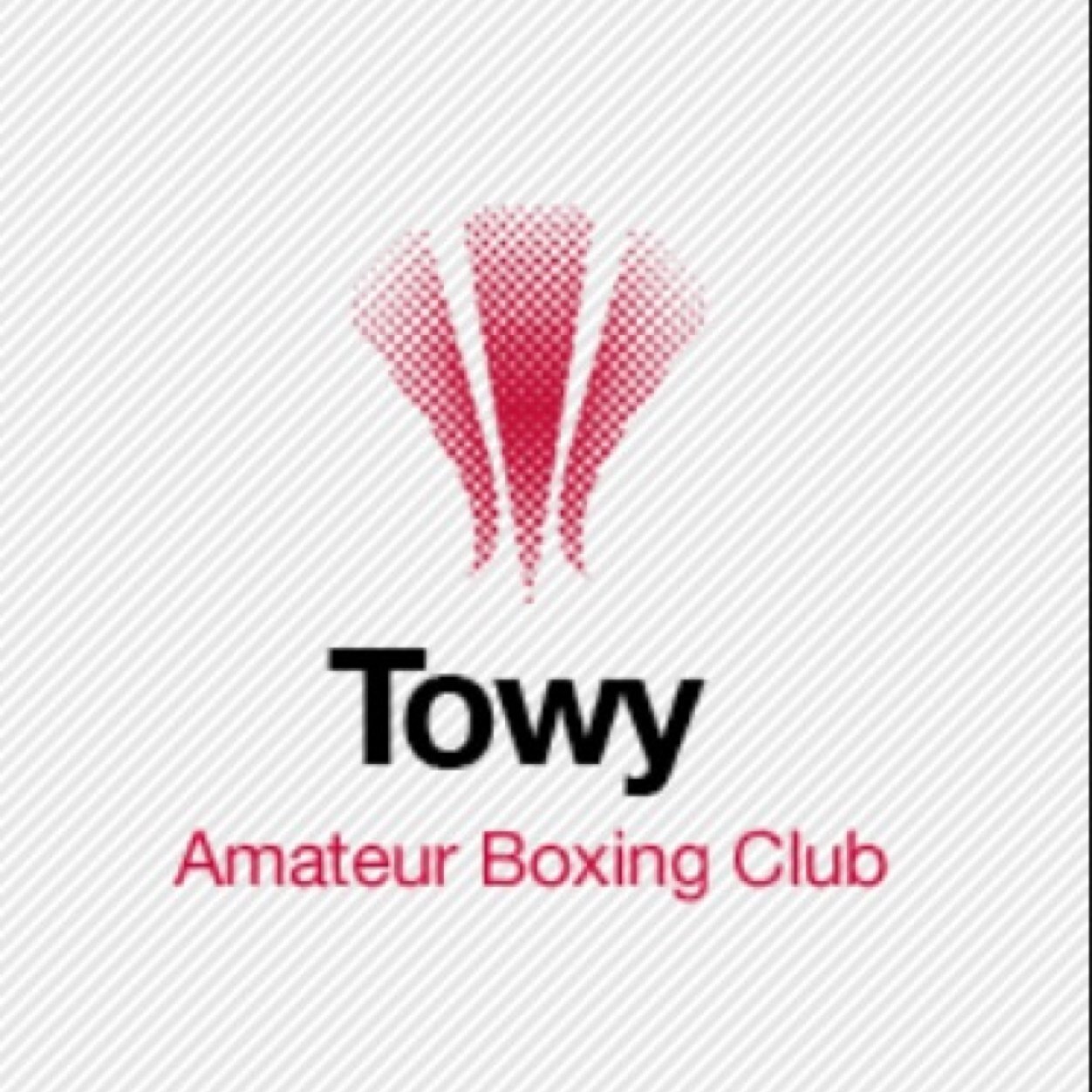 Towy ABC provides excellent facilities for Club Members in a clean & modern building in the centre of Ammanford. towyabc@hotmail.com