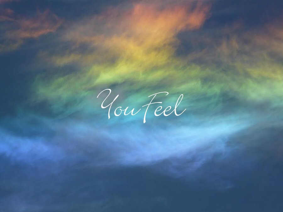 #Feel #Vibes #FollowBack
