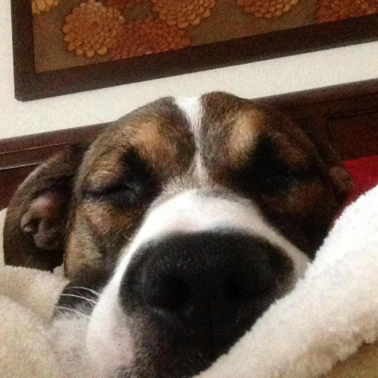 EbonleafSR's profile picture. 