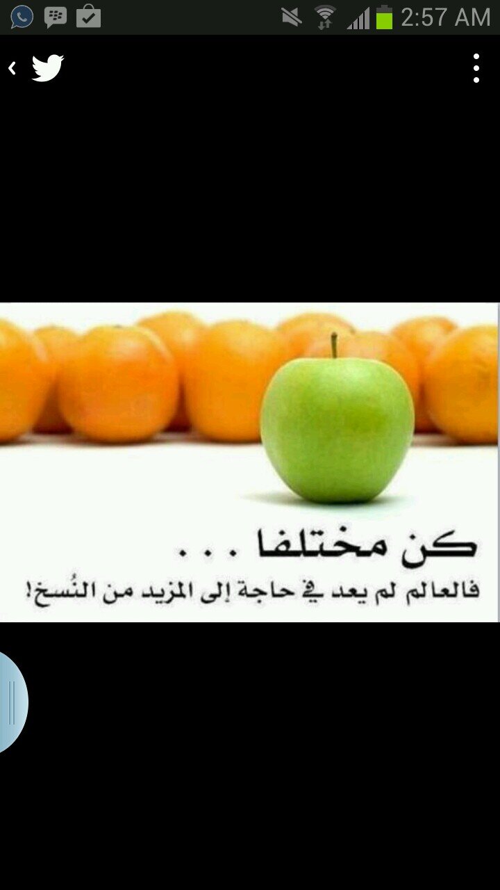 Am05005's profile picture. 