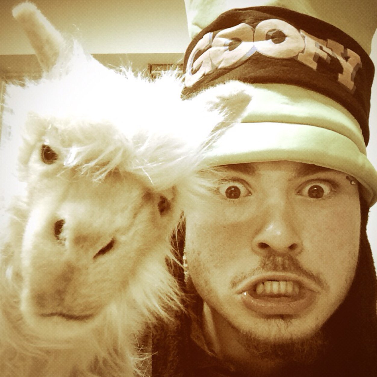 I'm a comic. I like llamas.