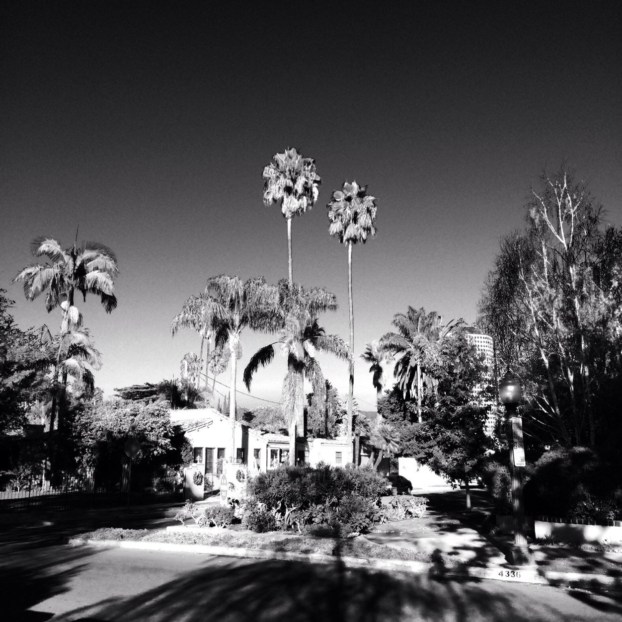 dodgerdub's profile picture. 