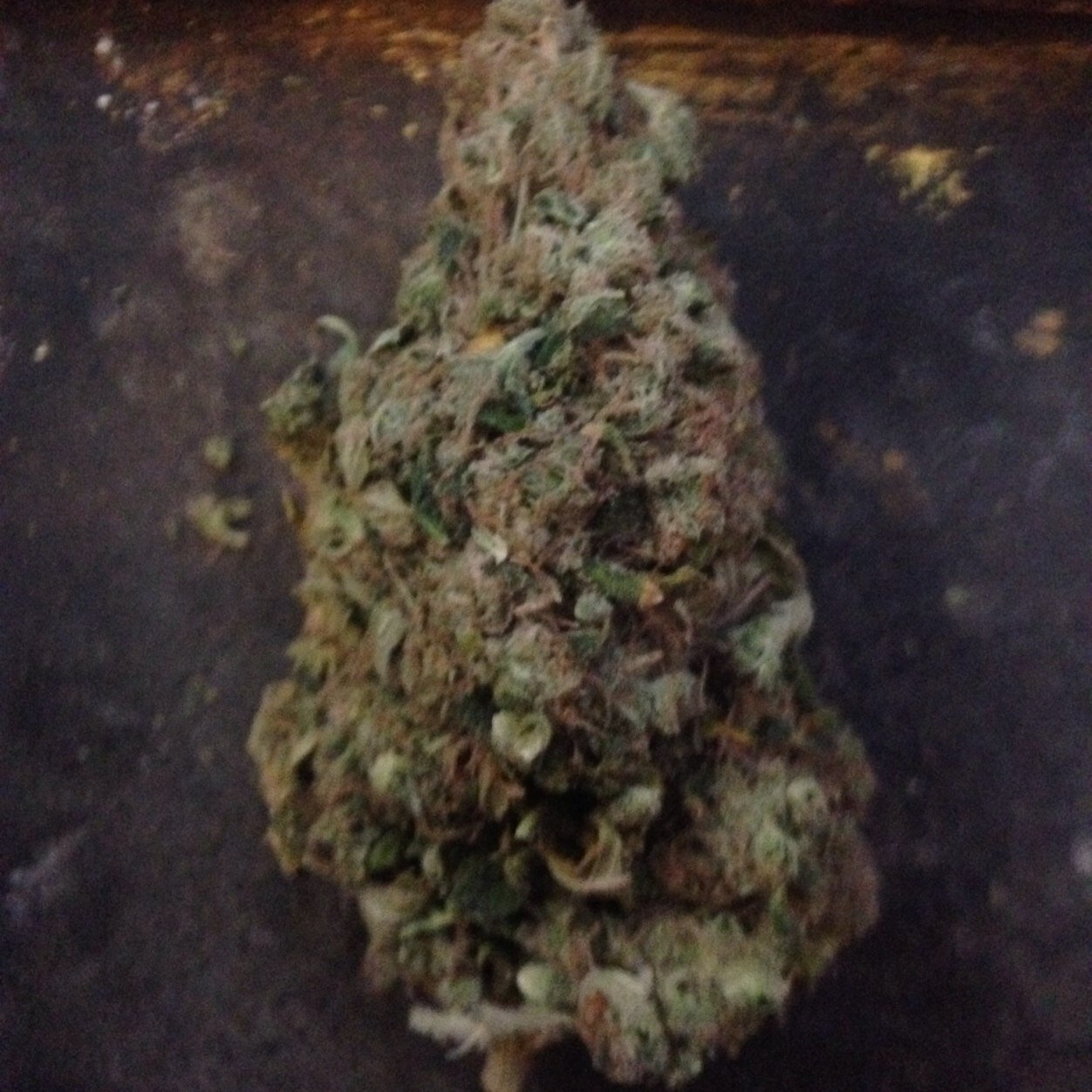 Carnelljc's profile picture. 