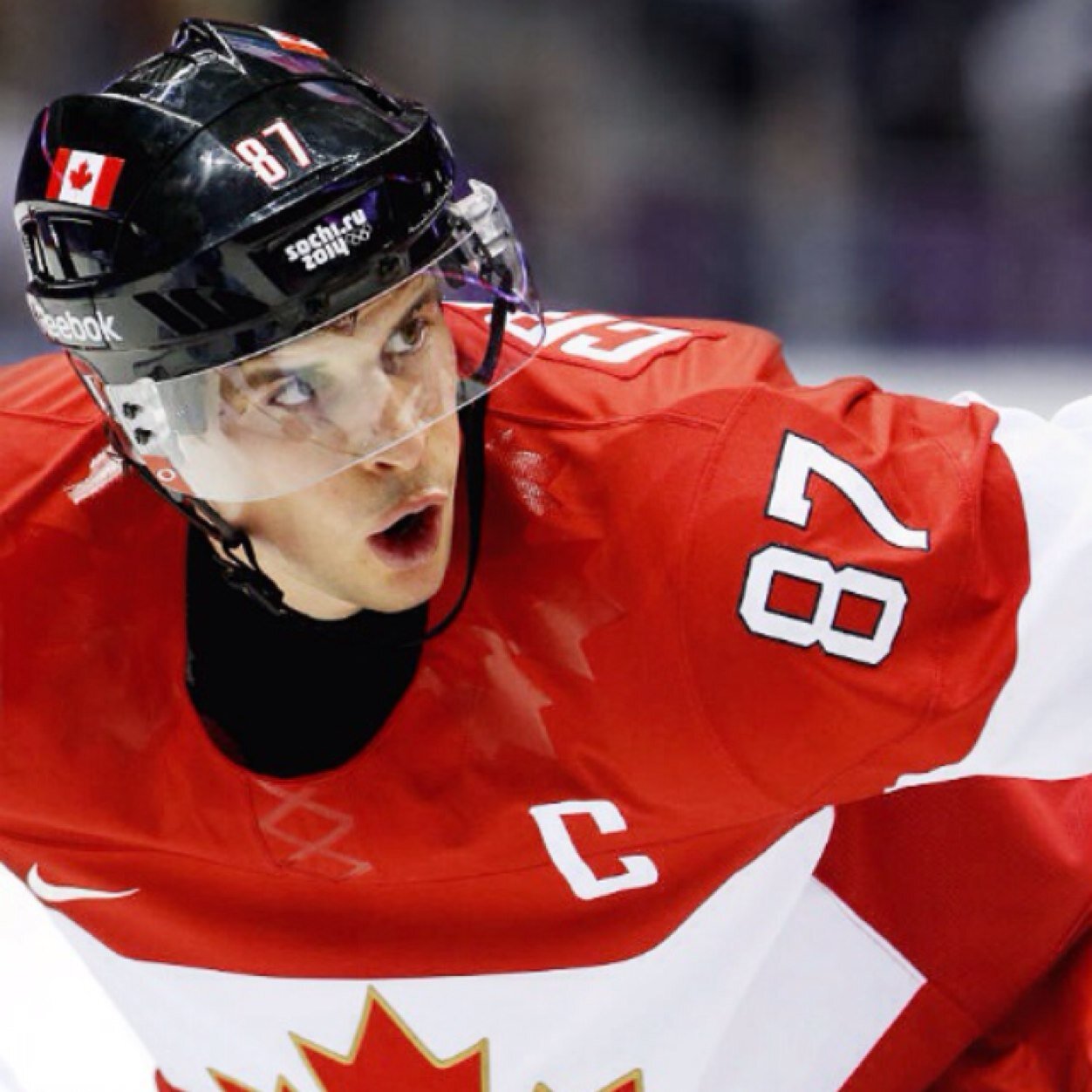 Sidney Crosby's Ego (SidneyCrosbyEgo) Twitter