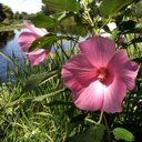 Mary Kaye McBride - @mkaye926 - Twitter