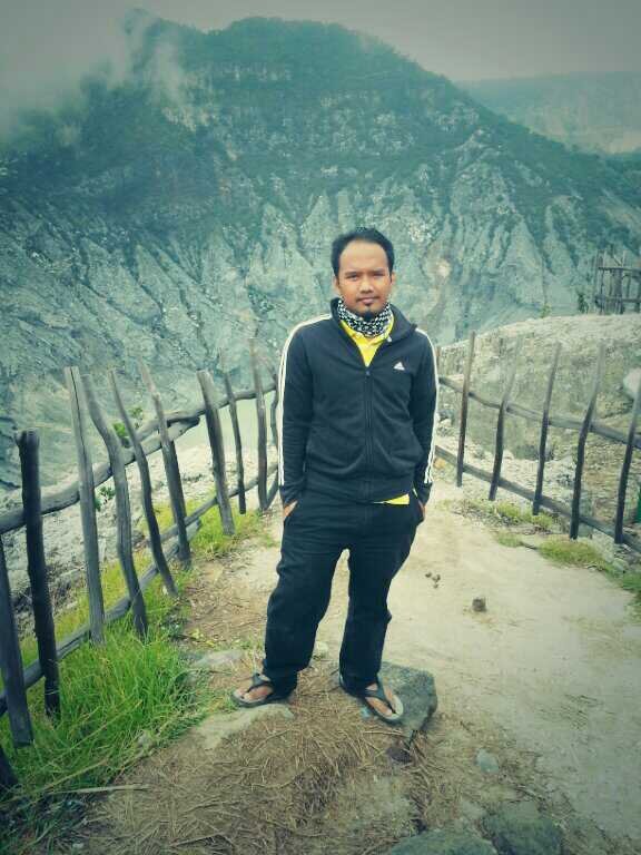 palajingga's profile picture. 