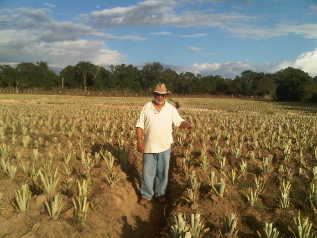 Dedicado a la produccion agricola fiel creyente en Dios,padre de 4 hijos,con deseo de ver mi pais nacionalizado,organizado e institucionalizado.