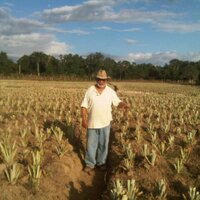 Rafael De Jesus(@agrodejesus) 's Twitter Profile Photo