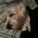 caleb morrow - @cjmorrow1999 - Twitter