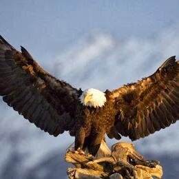 blancog's profile picture. levantemos a nuestro pais de tantos vicios .corrupción :. ya es hora  de rescatar nuestro valores.: