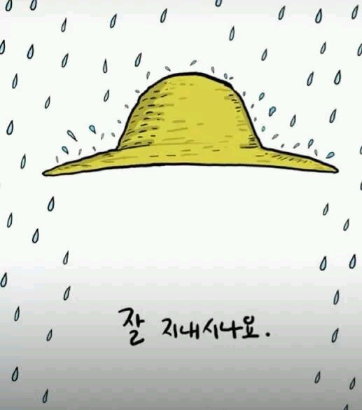 swan1287 Profile Picture