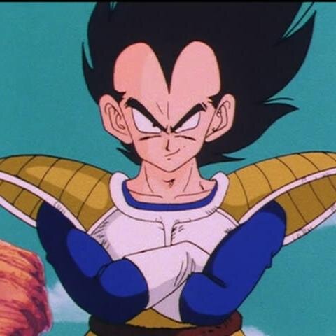 Fool,you're in the presence of the strongest warrior who has ever lived,The Saiyan Prince Vegeta! No one even comes close to my superior strength,now get lost!