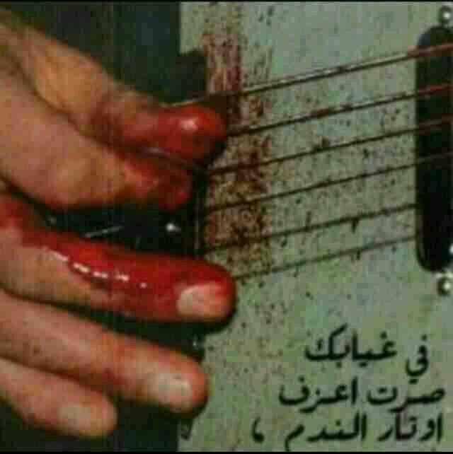 qai123e225's profile picture. 