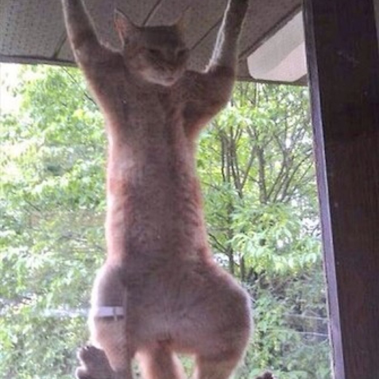 BmccurdyBrian's profile picture. 