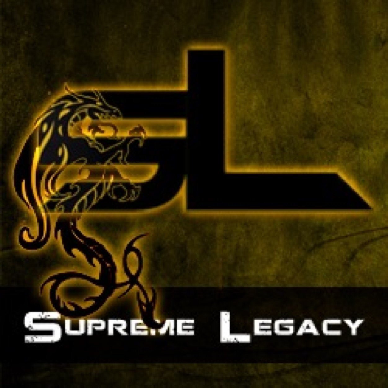 Competitive COD Team. Use Code sLegacy for 10% off @CinchGaming Products. Sponsors: @CinchGaming @TheGamingAgency @DenialKC