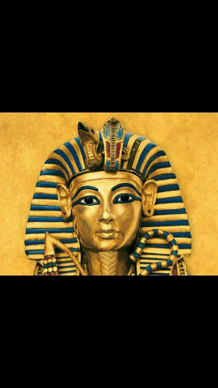 I tweet real things #Africa #Egypt #Egyptian #FOLLOW/FOLLOWBACK - Bow Down to your PHARAOH. Seek light for True Knowledge. #AncientTeachings #GANG