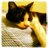 ann0311_martha's avatar