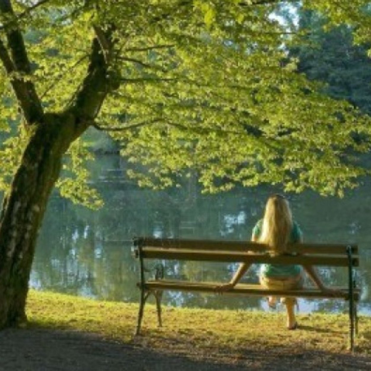 northeastgirl98's profile picture. Raised in the north, belong in the south. taken by the most amazing boyfriend ❤️9/11/12. Republican. English rider. Christian 'till I die. Est. 11/29/13