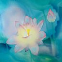 Lily - @lily_aaron_chun - Twitter