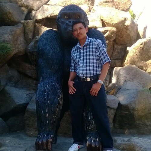 Reystevenrf's profile picture. 