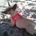 silvia alba - @silviaalba2 - Twitter