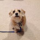 randy hinton - @HintordpRandy - Twitter