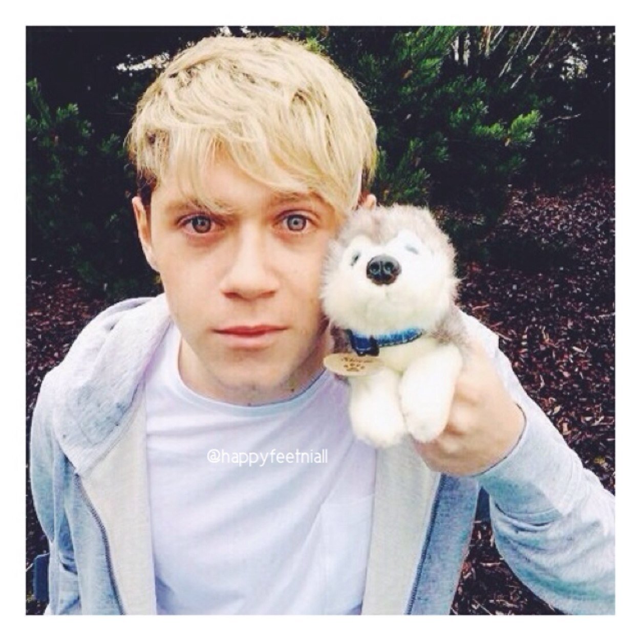 if you smiled then follow @happyfeetniall :D