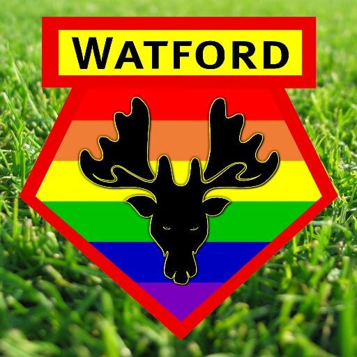 LGBTHornets's profile picture. Watford FC LGBT friendly fans. Campaigning against homophobia and all forms of discrimination on our terraces. lgbthornets@gmail.com #WatfordFC