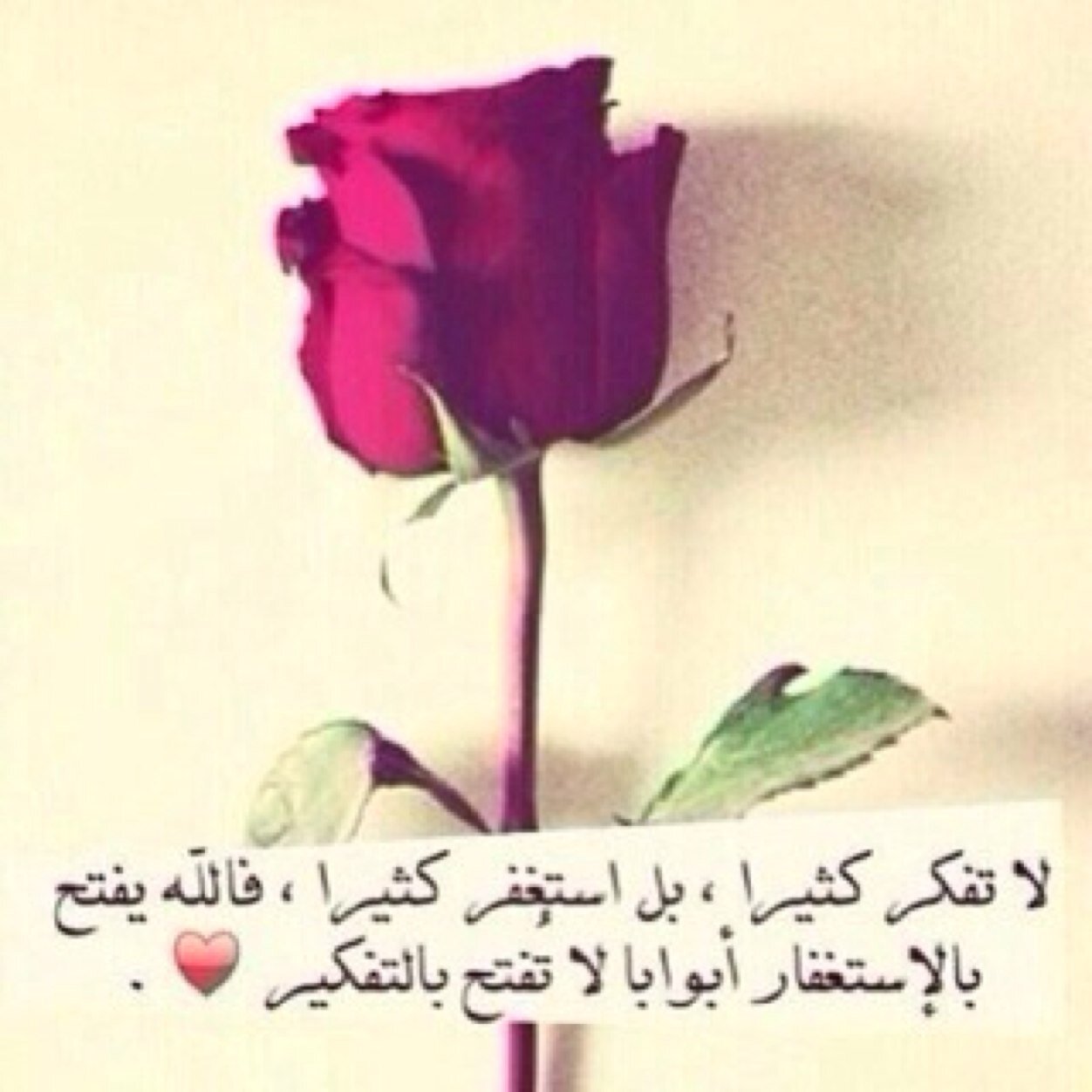 سبحان الله وبحمده..سبحان ربي العظيم