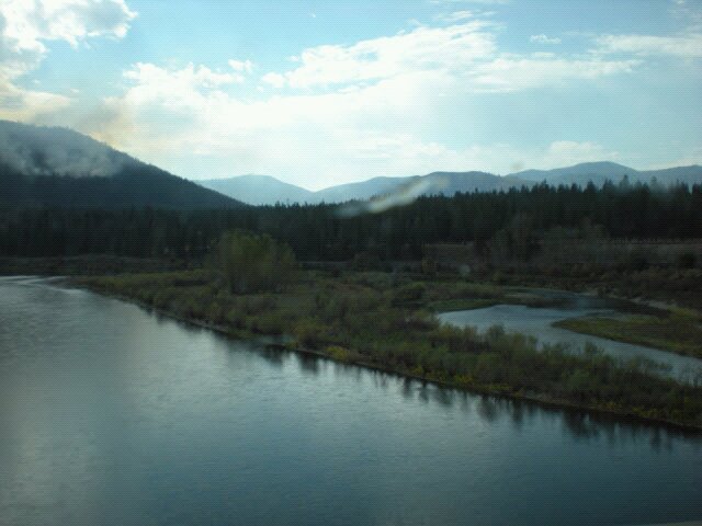 noame9's profile picture. 