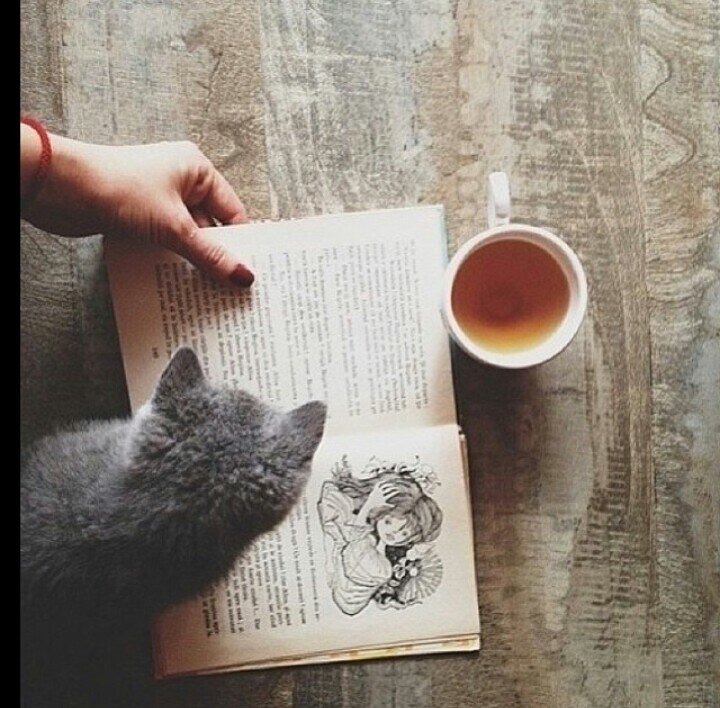 سوف يأتي يوم لن أكون فيه معكم ! و سـ تدخلون لتقرأو ما كتبت ، فإن وجدتم ما يؤجرني أنشروه، وإن وجدتم ما يؤثمني أتركوه. / سبحان الله وبحمده سبحان الله العظيم..