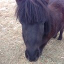 Ryan Putt - @junkyarddog357 - Twitter