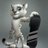 maddogster's profile image