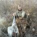 Mike Moyer (@unmlobos99) Twitter profile photo