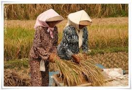 Akun Resmi Kementrian Pemberdayaan Perempuan BEM Fakultas Pertanian Universitas Mulawarman | #BerdiriTegakUntukSemua
