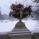 Luis Virgen - @luisvirgen55 - Twitter