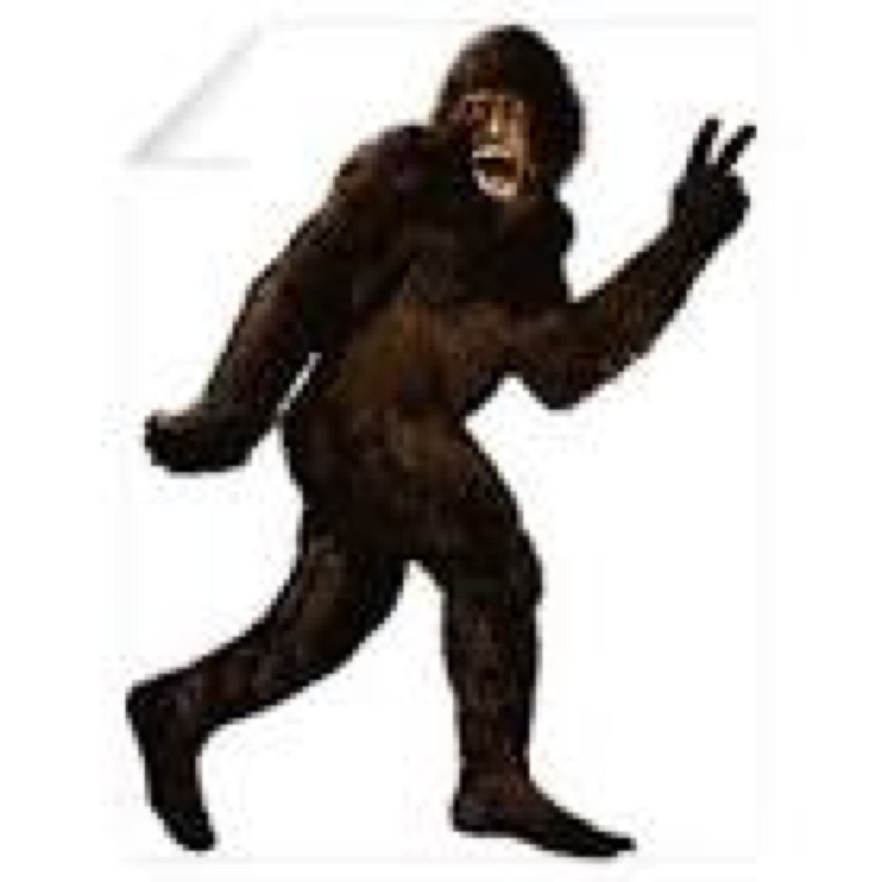 Im BigFut.... Cum find me... Fagit