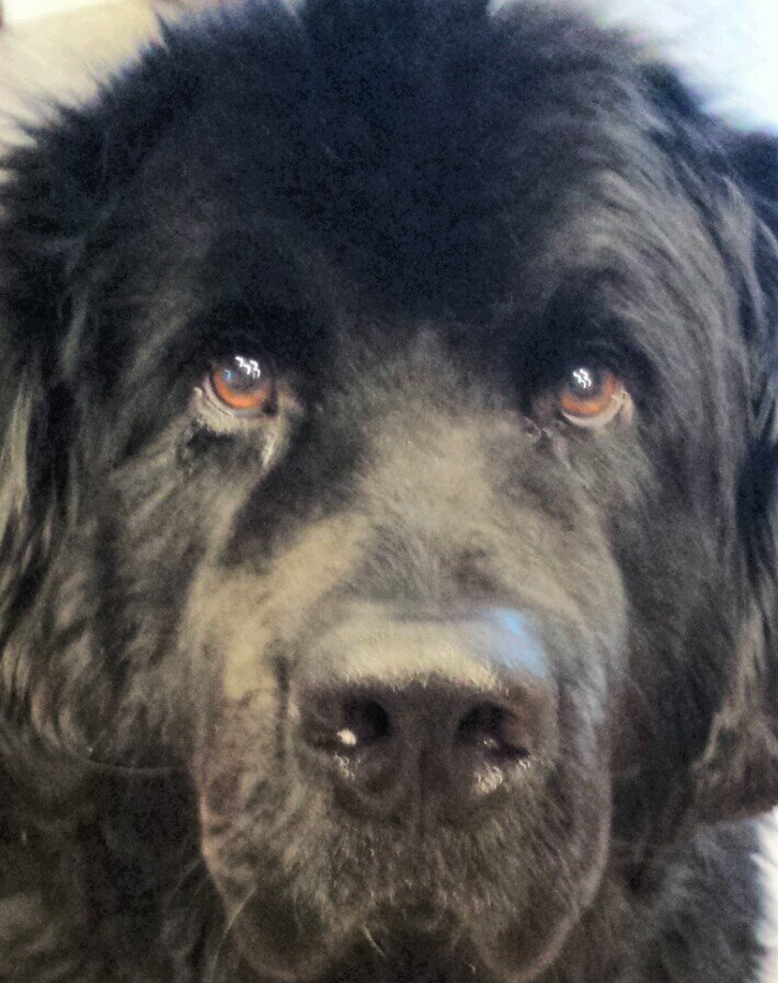 smacktalkinZip's profile picture. 